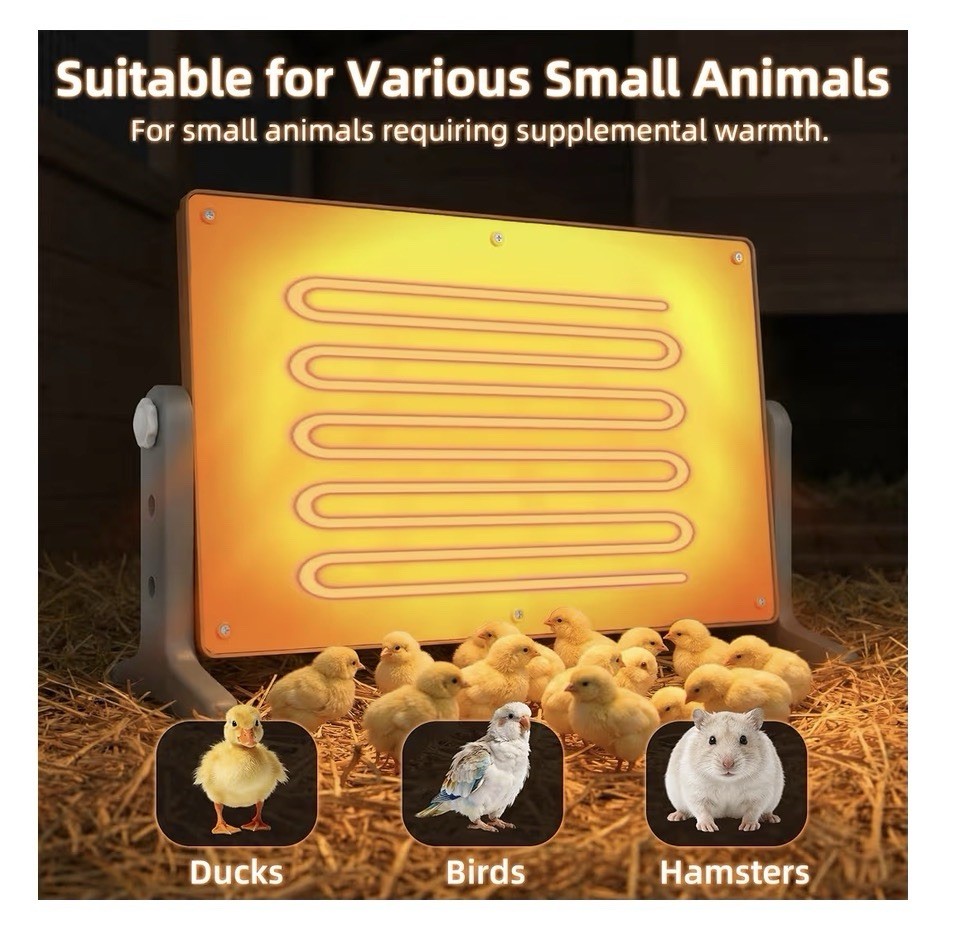 Chick Brooder Heater Plate 12x8 Inches. Adjustable Height And Temperature 🐣 New