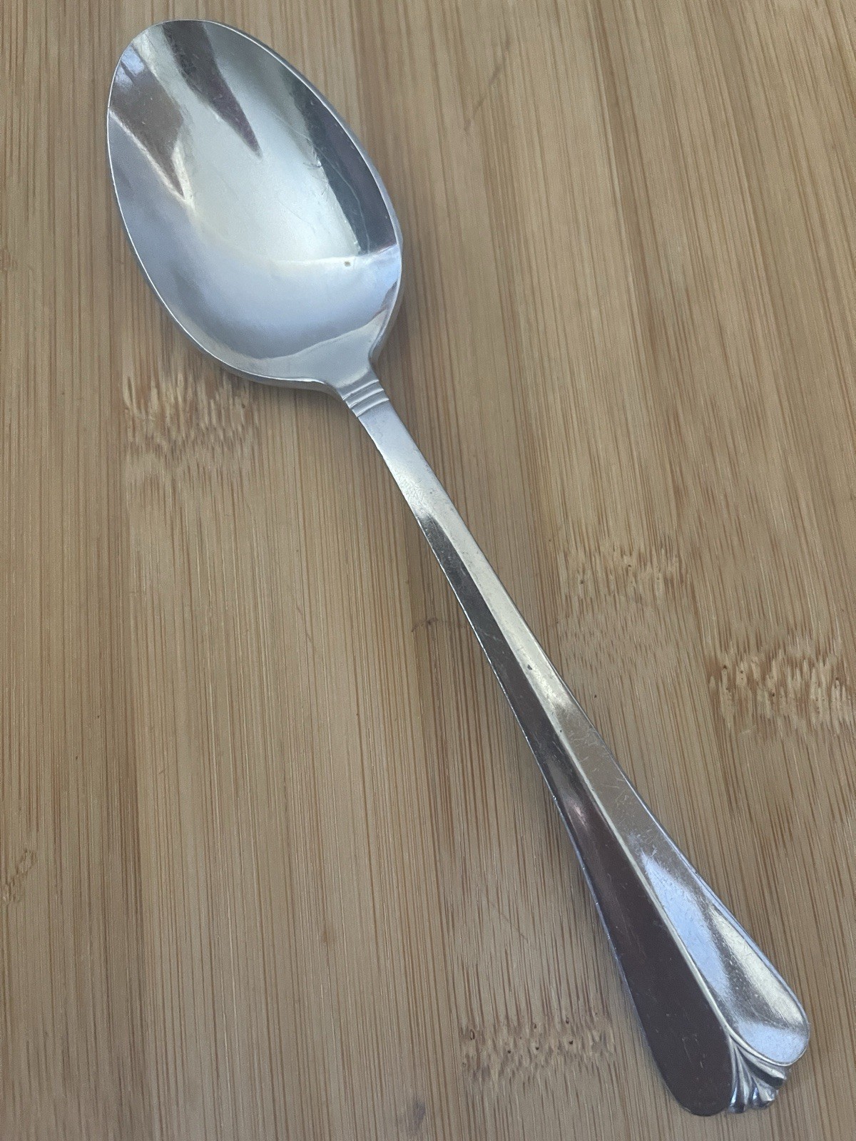 Stanley Roberts COUNTRY SHELL Stainless Plume Tip Stainless PLACE SOUP SPOON  7"