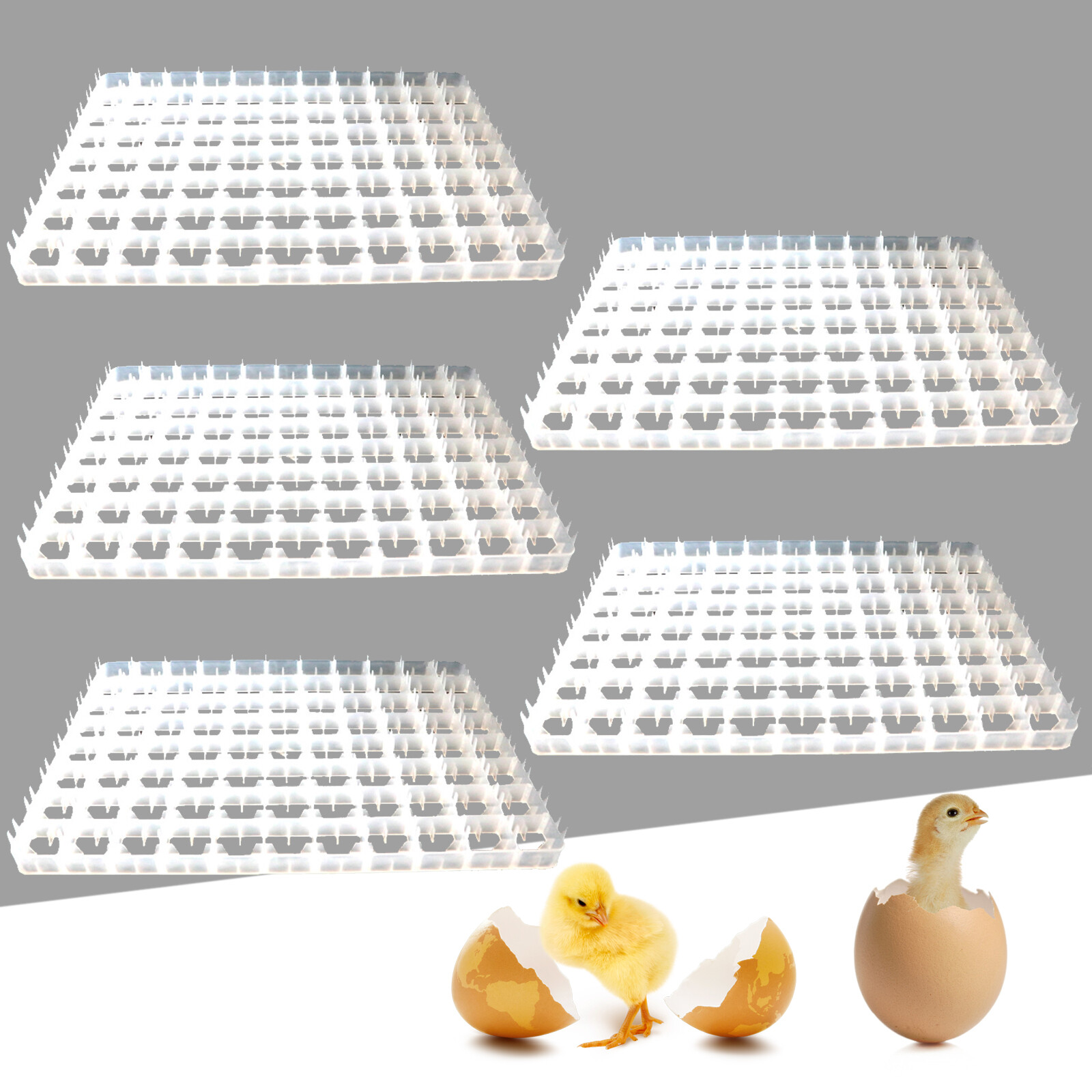 5x Egg Hatching Incubator Trays Chicken Duck Eggs Tray for Automatic Breed Egg