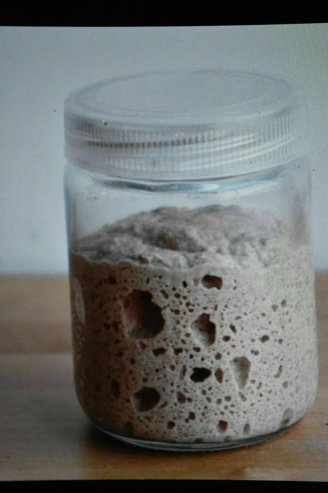 Tangy very sour ORIGINAL WHARF SAN FRANCISCO SOURDOUGH STARTER tangy sour