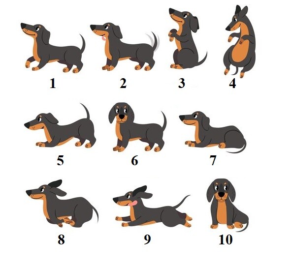 Personalized Address Labels Cartoon Dachshunds (FA 50)