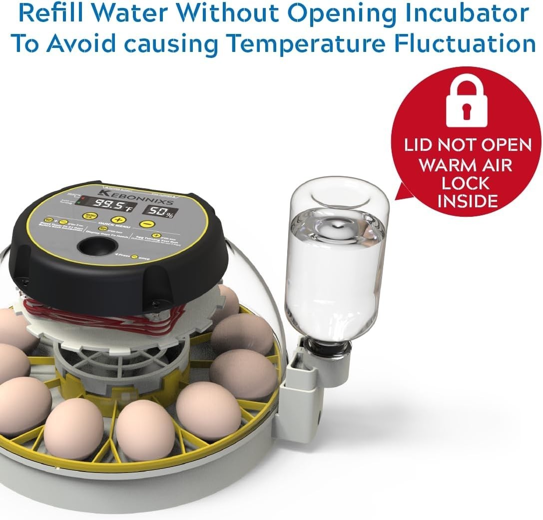 Incubator for Hatching Chickens with Candler & Turner