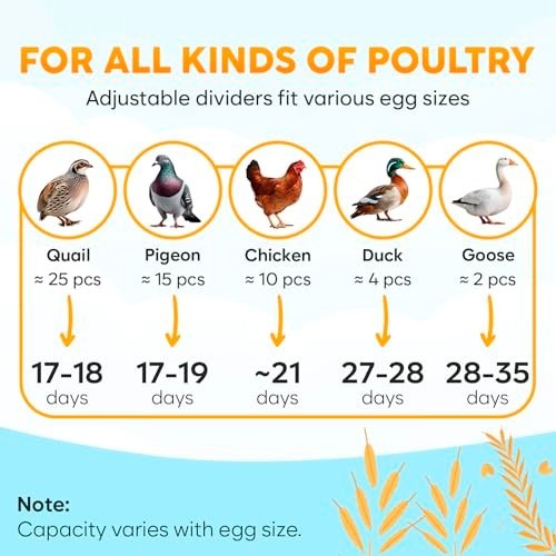 Incubators for Hatching Eggs, Egg Incubator with Automatic Egg Turning and Humid
