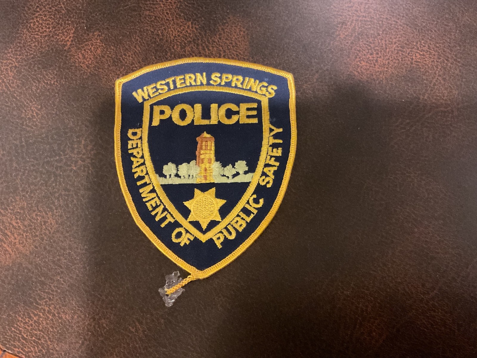NEW - Western Springs, IL Police - Department of Public Safety Patch