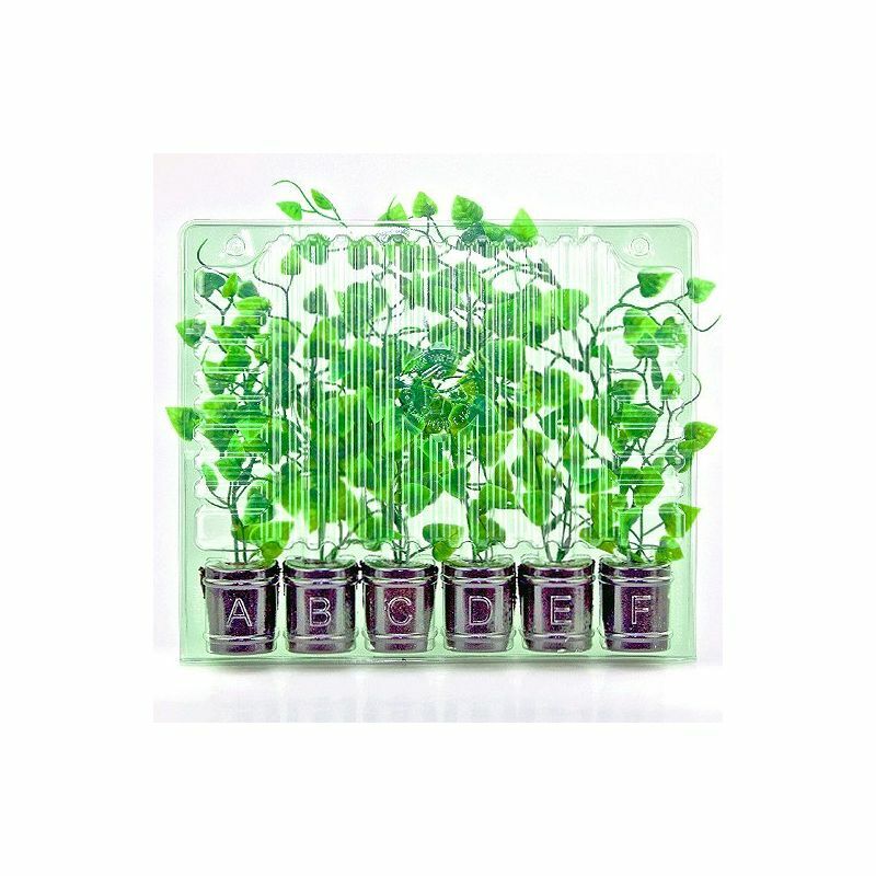 Clone Shipper 6 Plant cell +100 Hr LEDs Rockwool or Plugs Germination Seed Tray