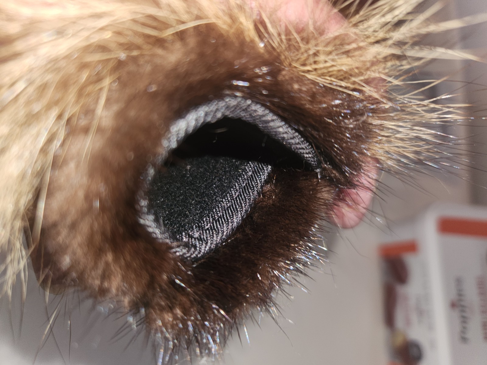 Mink Fur Reading Eyeglass Case