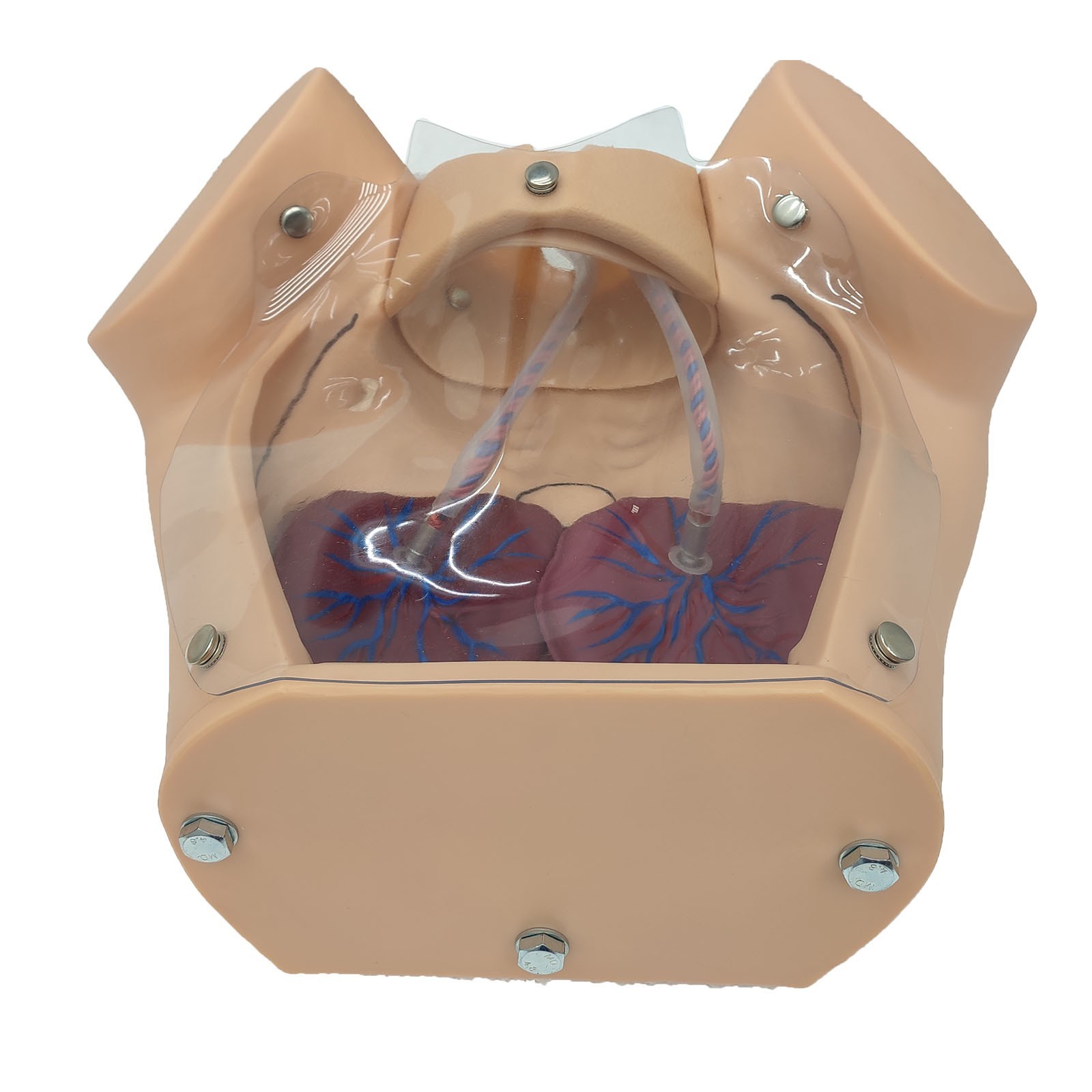 Female Childbirth Model Simulation Childbirth Comprehensive Skill Training Model