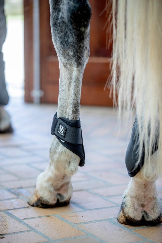 HG Fetlock Boots (Hind Legs)