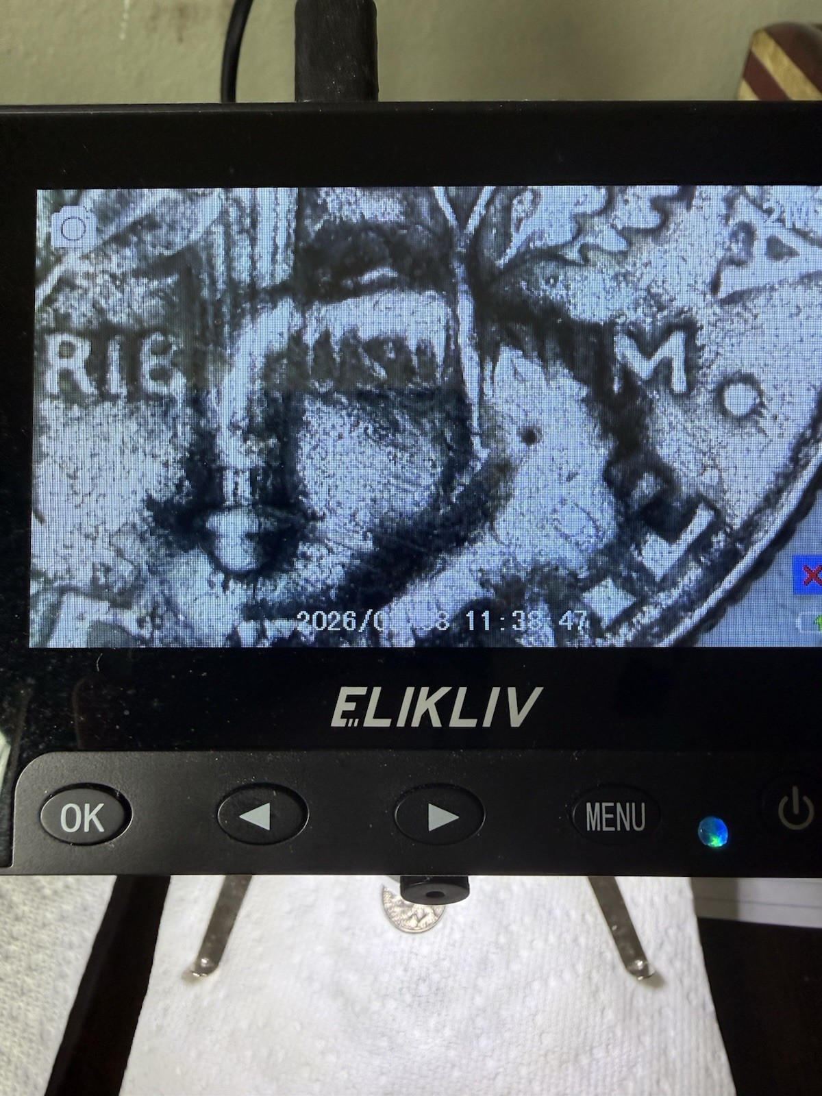2019 P Roosevelt Dime (Error - Extreme Strike Through)