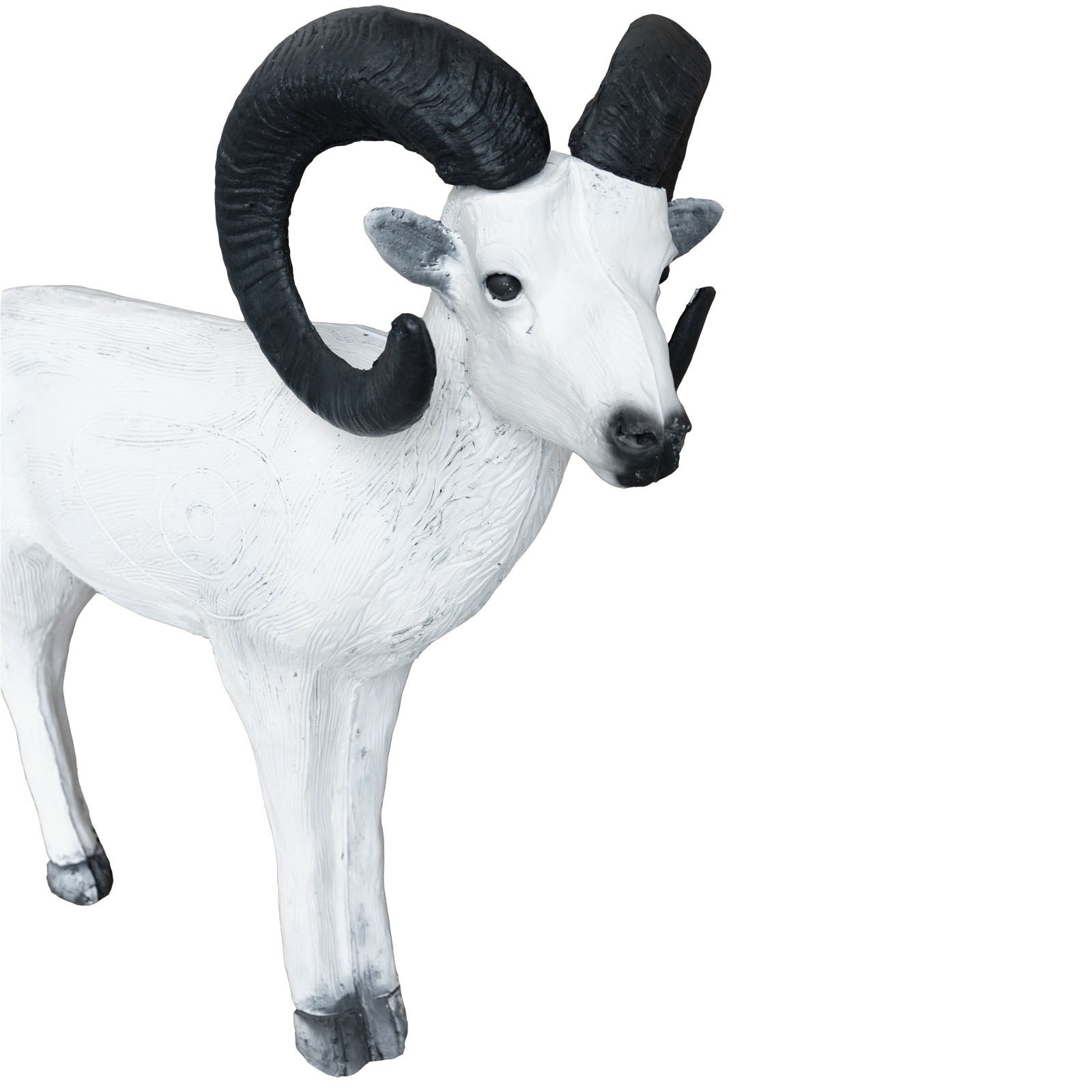 Leitold 3D Animal Dall Sheep Standing