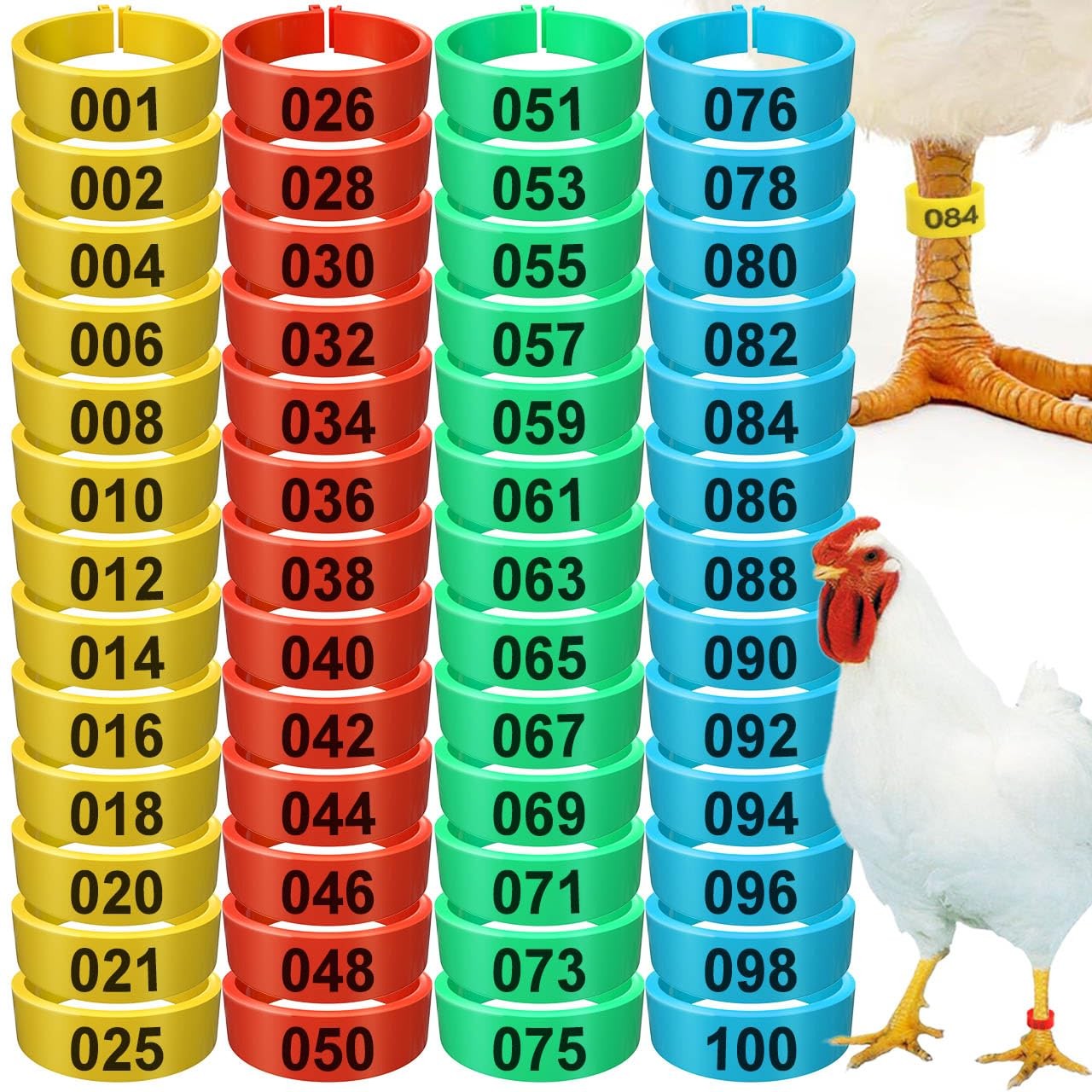 200Pcs Chicken Leg Bands,Multiple Color Poultry Identification Leg Rings Chicken