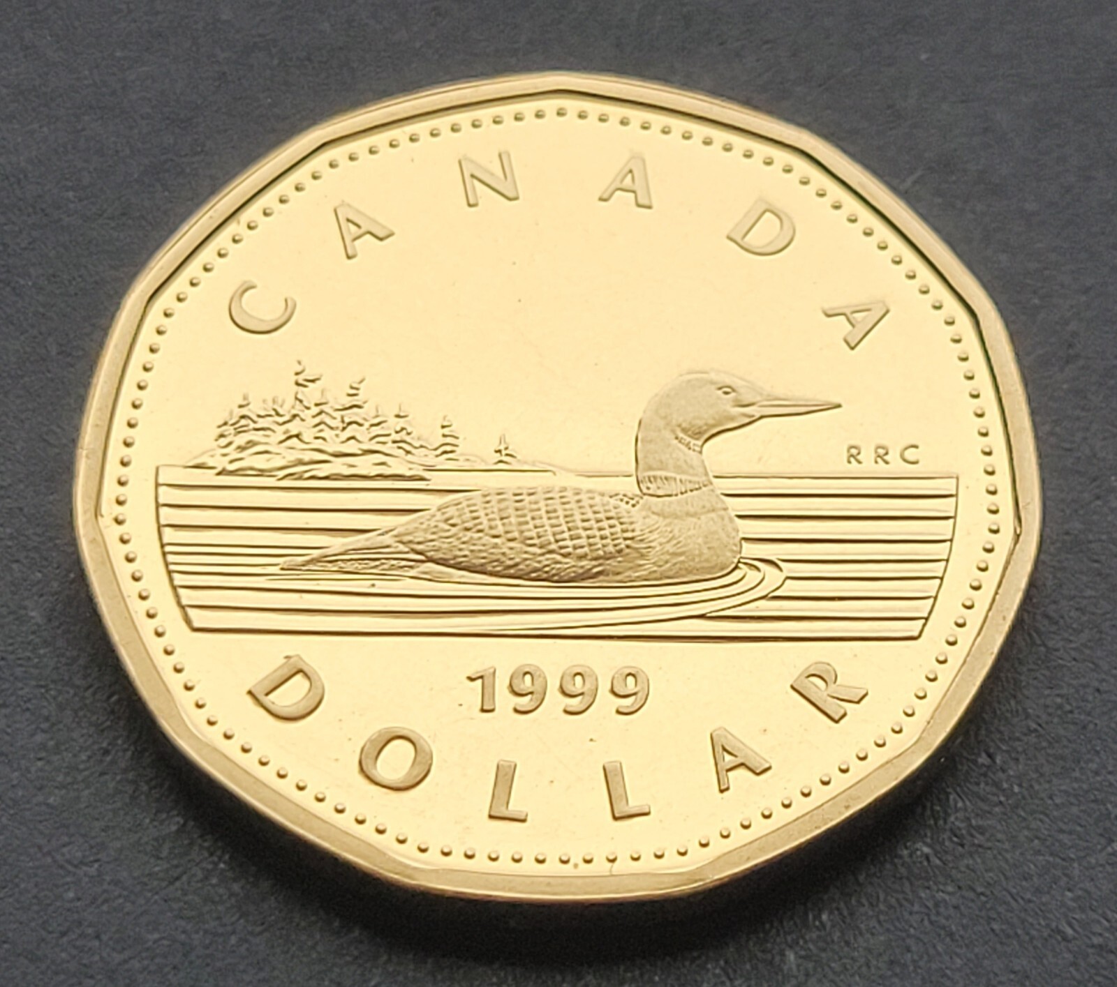 ***  CANADA  LOONIE  1999  ***  PROOF  ULTRA  HEAVY  CAMEO  *** BETTER  DATE ***