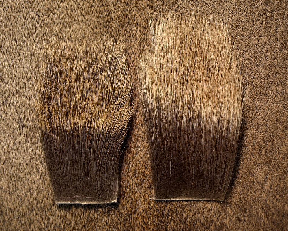 NATURE'S SPIRIT ELK BACKSTRIP HAIR Fly Tying Material Cow or Bull