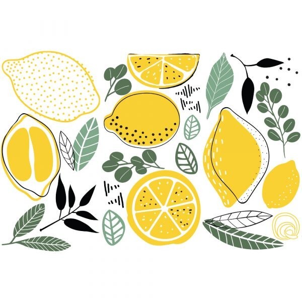 LEMON Transfer