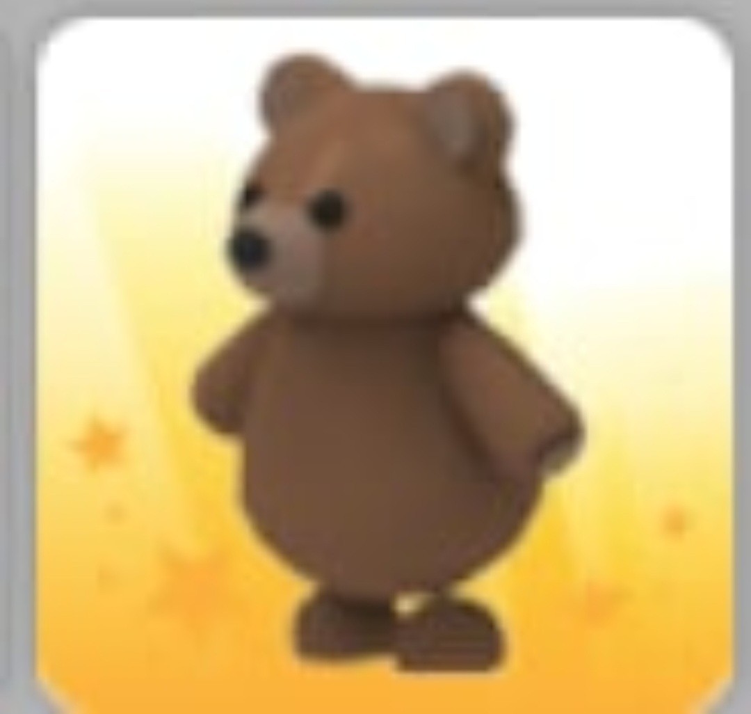 Brown Bear | Polar Bear | Adopt Now