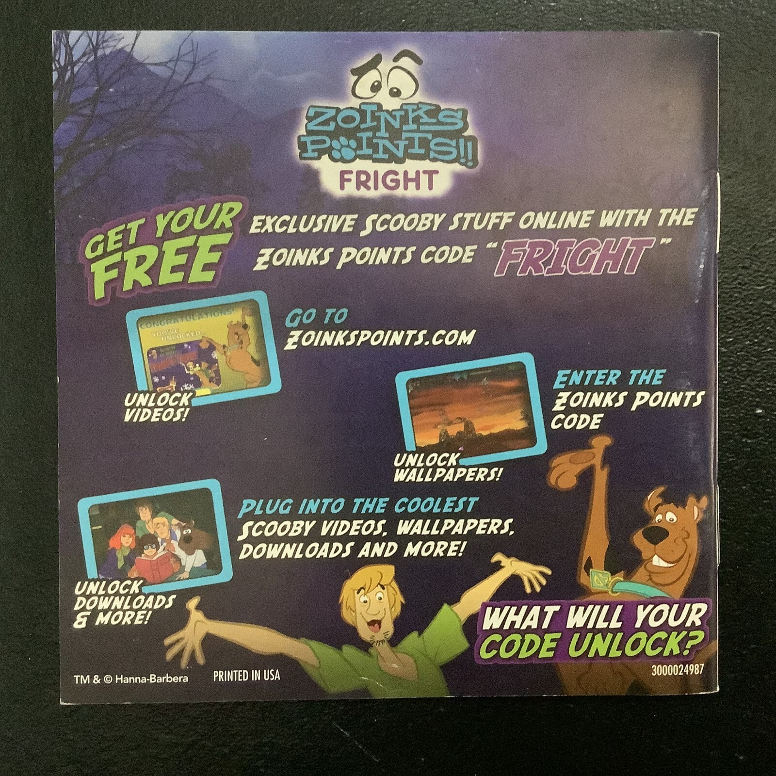 Scooby-Doo! First Frights Nintendo DS Instruction Manual Only