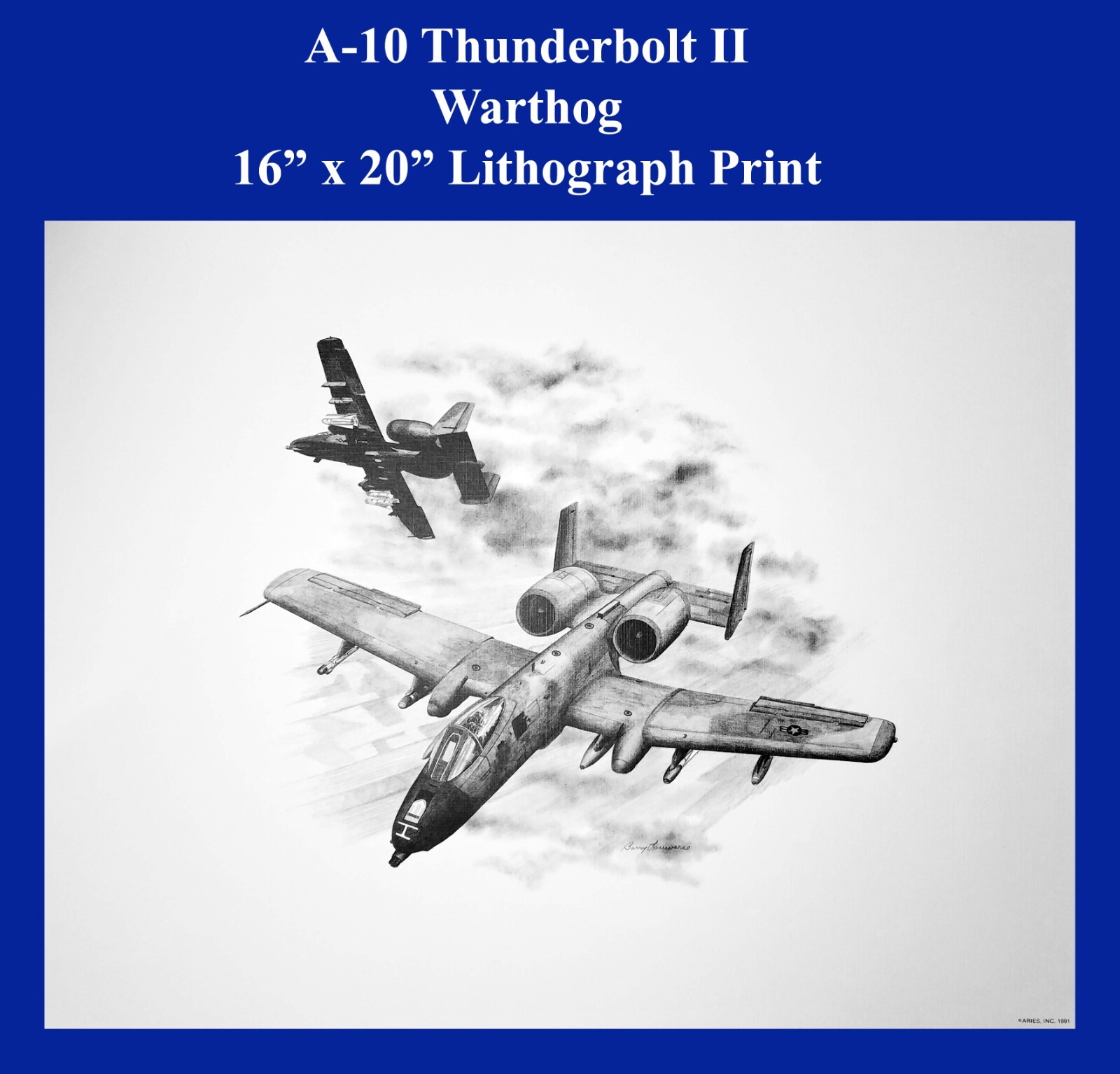 A-10 Thunderbolt II Warthog Lithograph Print 16" x 20"