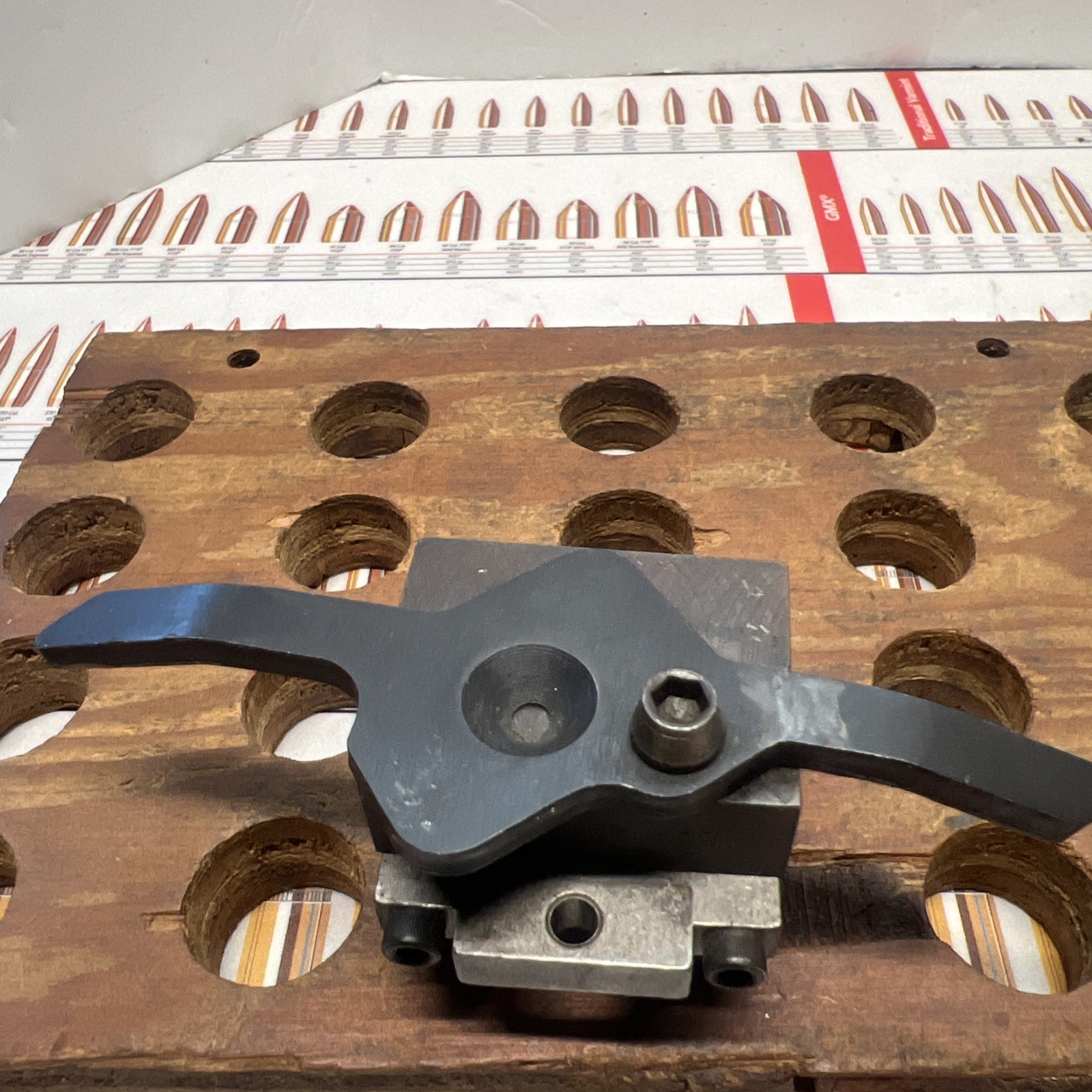 MAGMA ENGINEERING BULLET MOLD , 45 -70/405/TGG/RNF