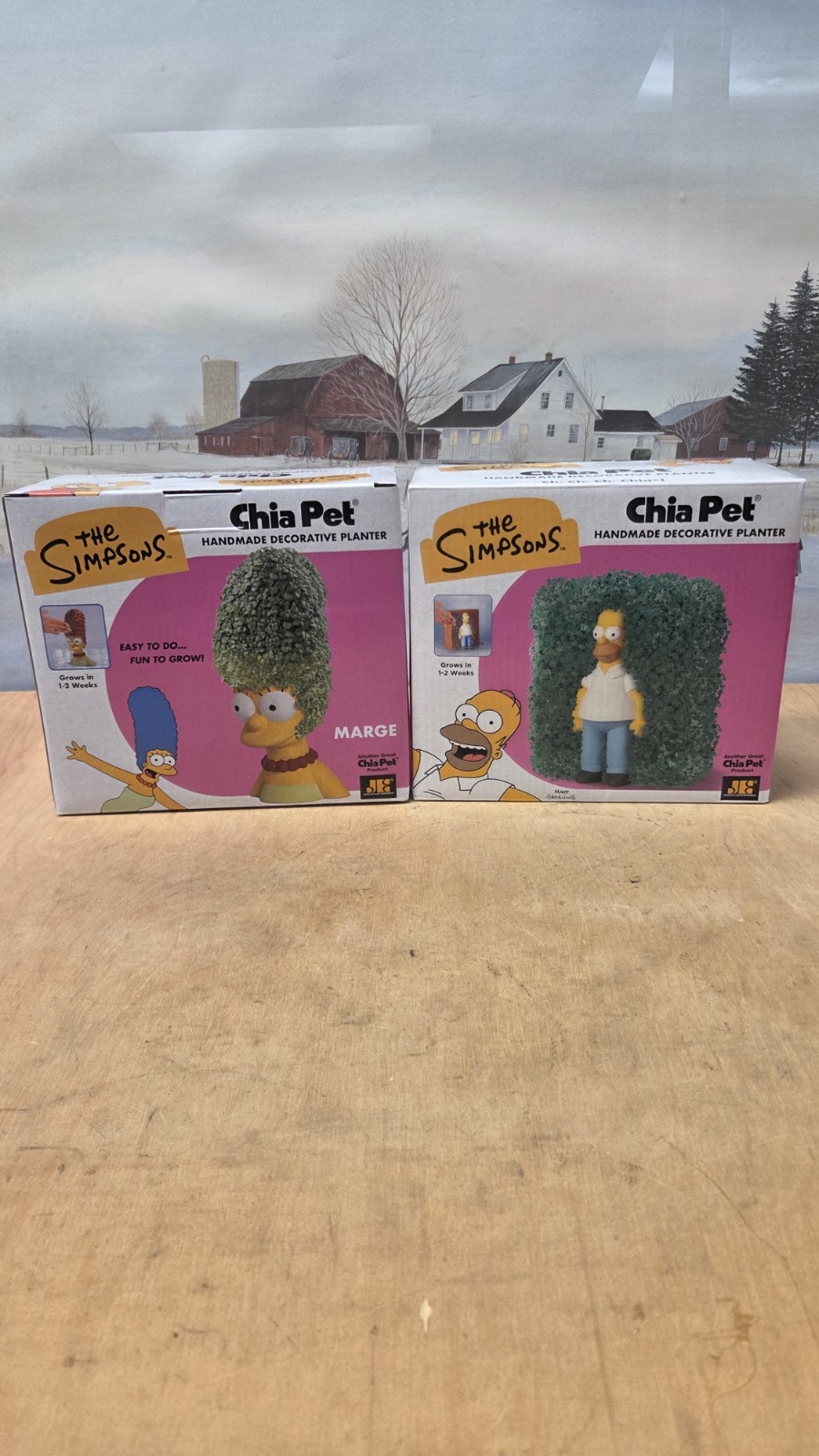 Homer Simpson and Marge Simpson Chia Pet Combo -  The  Hedge Meme  🦔 2 pack
