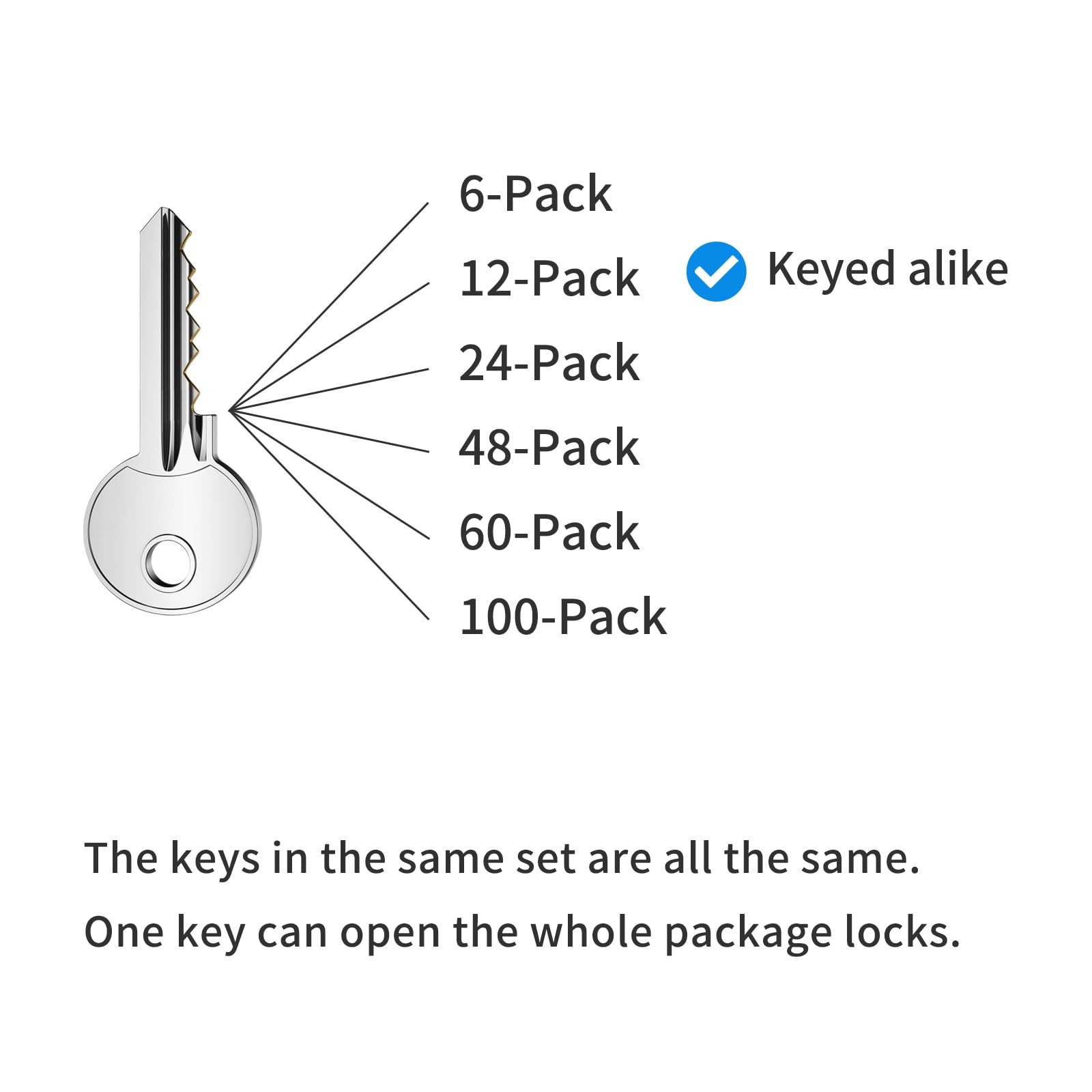 Padlocks with Same Key, LQYN 12 Pcs Laminated Keyed 12 Pack Blue, blue silver
