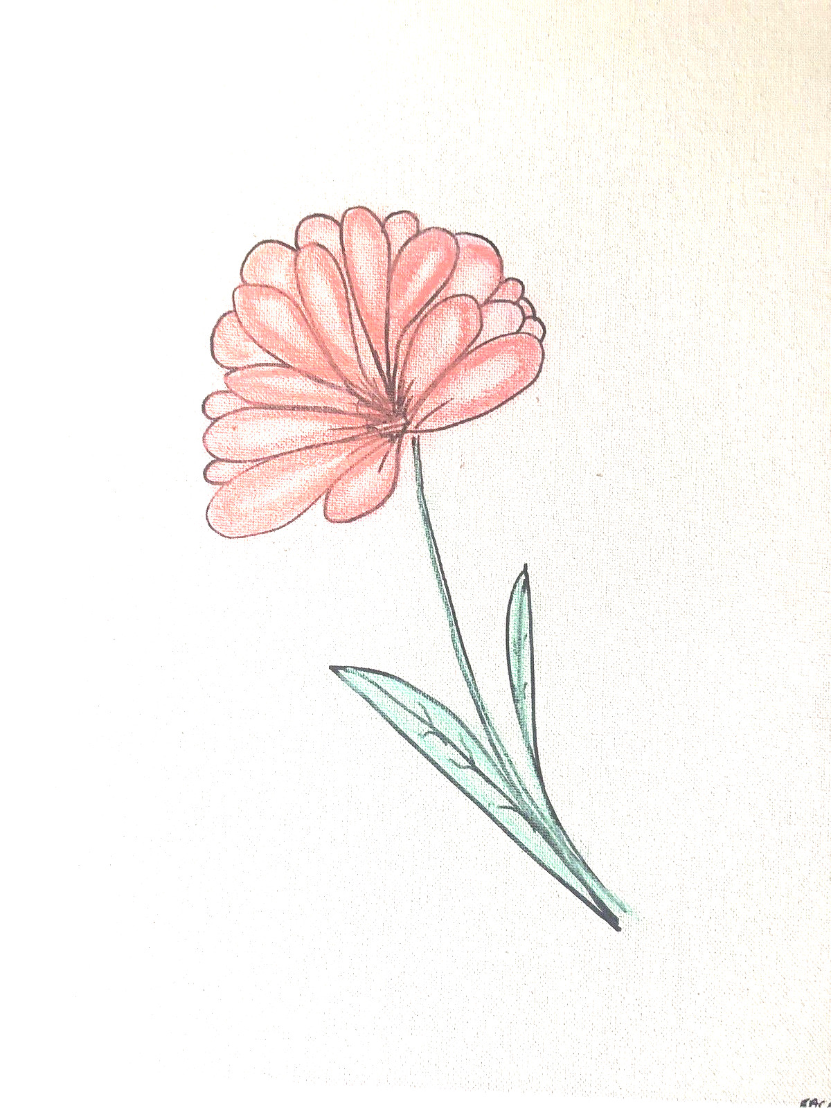 Pastel Painting FLOWER  FREE SHIPPING!!