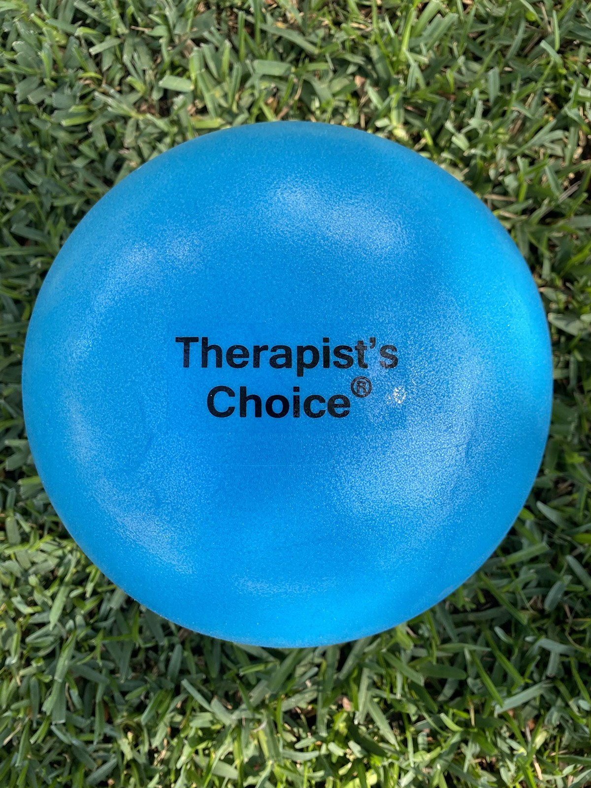 Therapist's Choice 9" Diameter Mini Exercise Ball Professional Grade Pilates