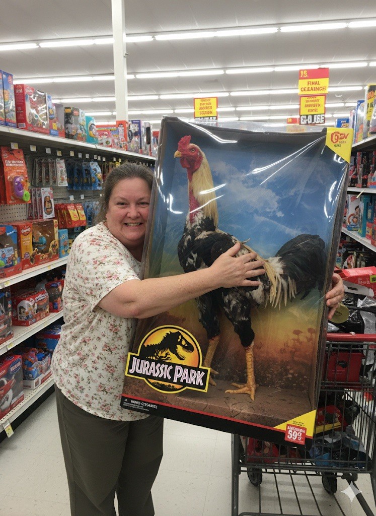 RARE - VELOCIRAPTORS! 4 Indio Gigante Eggs -Brazilian - WORLD’S TALLEST CHICKEN!