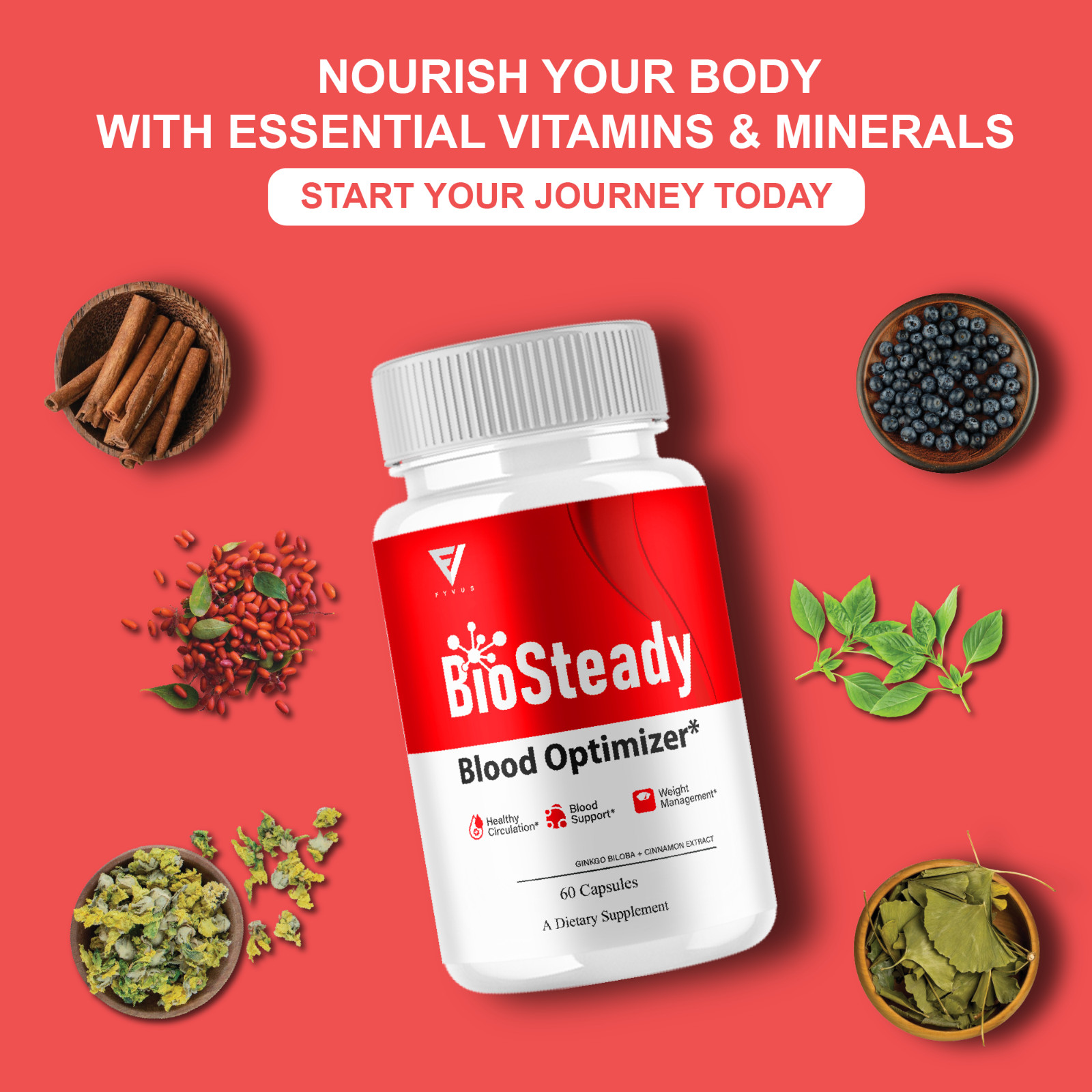 (2 Pack) BioSteady Blood Optimizer, Bio Steady Advanced Formula (120 Capsules)
