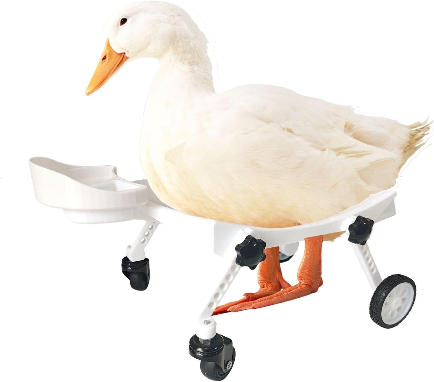 Pet Ducks Wheelchair - Adjustable Mobility Aid for Small Animals，Adjustable