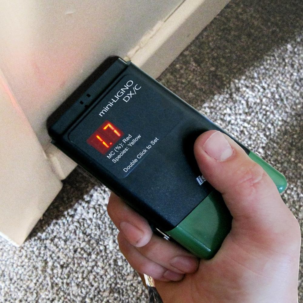 Lignomat Mini Ligno Dx C and Electrode E14 M Package D-4P