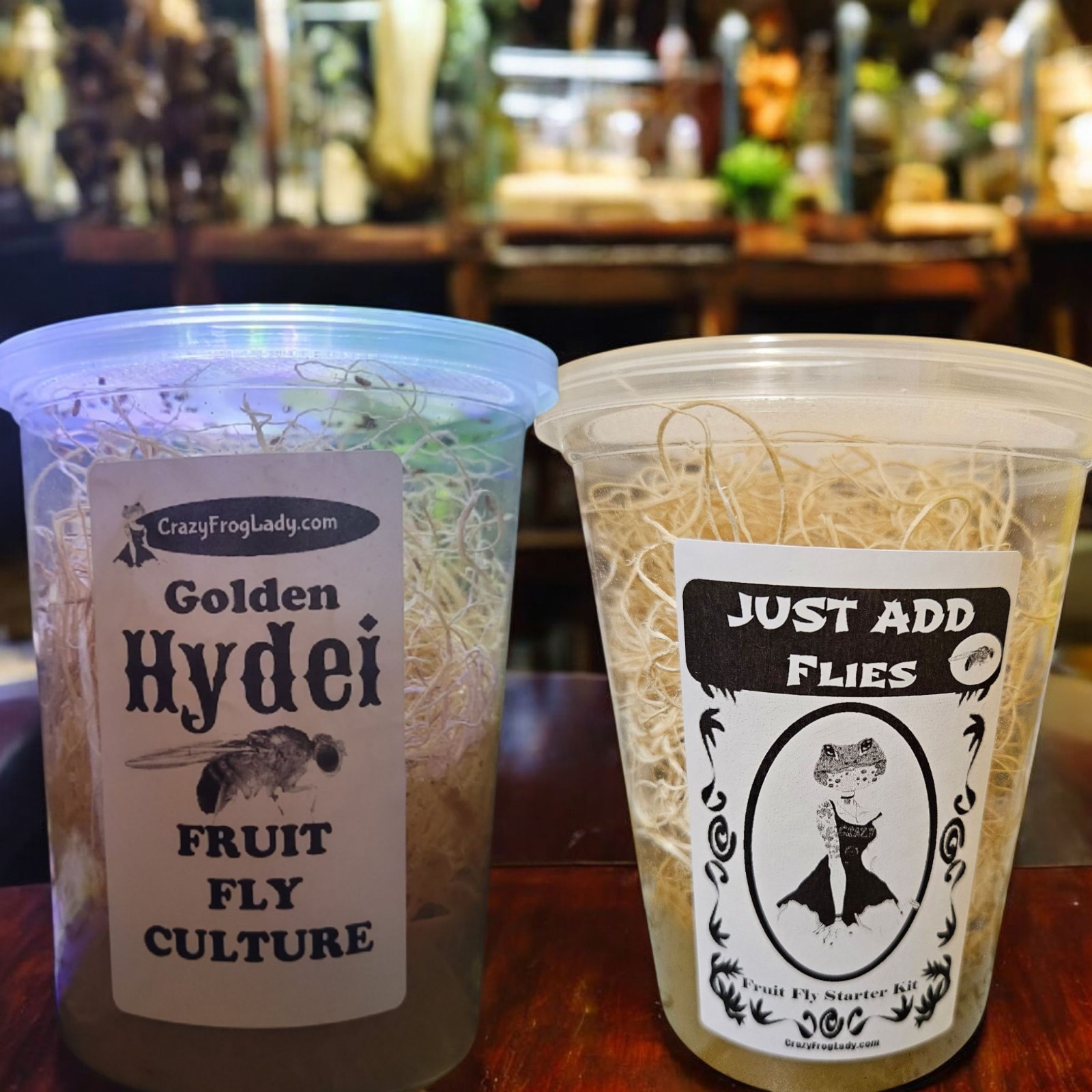 Golden Hydei Fruit Fly Culture + 1 Just Add Flies 4 Dart Frog Food Reptile Food