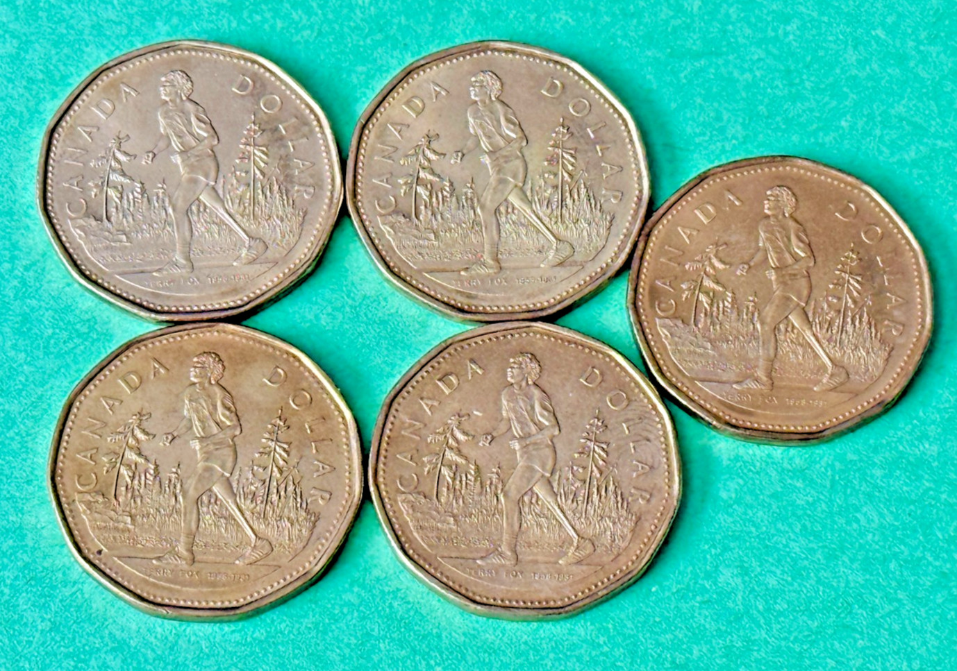 Lot of 5 coins. Canada 2005 Terry Fox Loon $1 One Dollar Royal Canadian Mint
