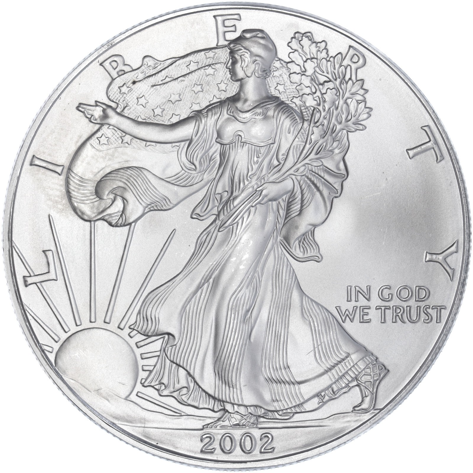 2002 American Silver Eagle 1 Oz Gem Brilliant Uncirculated Coin See Pics Q506