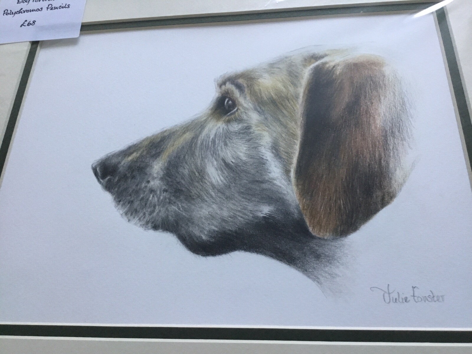 Dog Portrait Original Artwork signed By Julie Forster