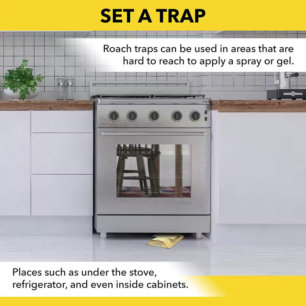 Roach Trap Value Pack