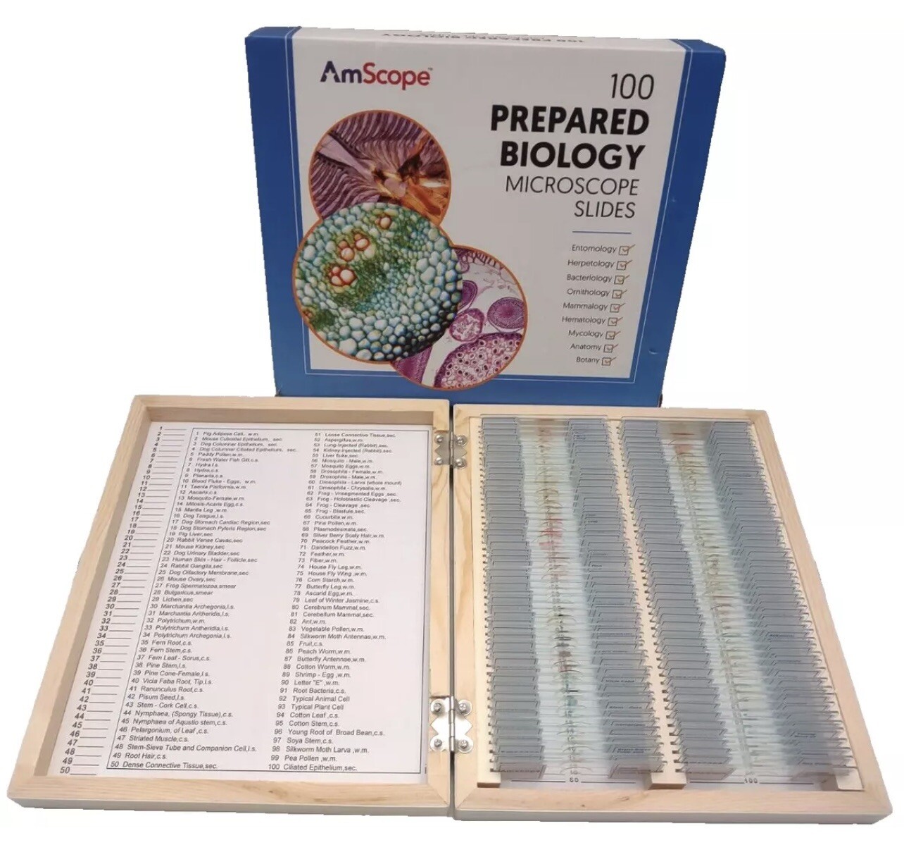 AmScope PS100A 100 Homeschool Biology Prepared Microscope Slides - Set A