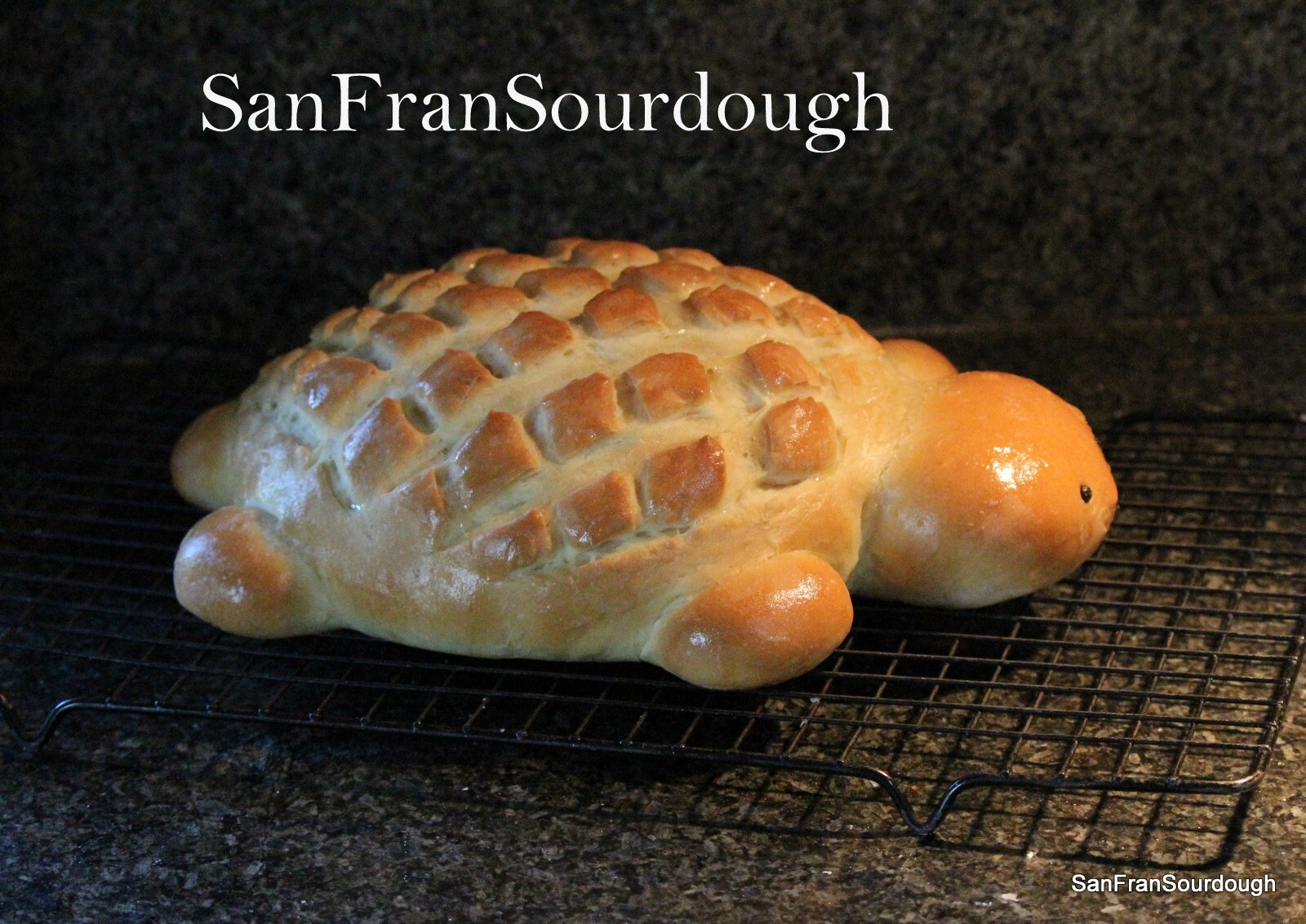 Active Dried Sourdough Starter San Francisco Yeast Bacteria baking bread