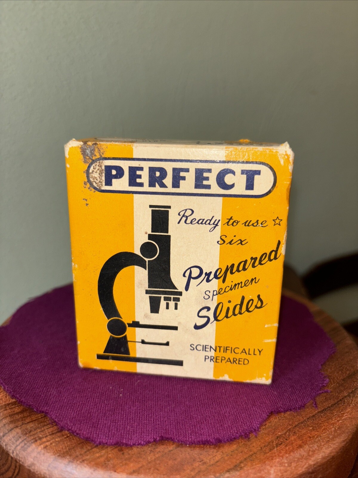 Vintage Perfect Prepared Specimen Slides 810-D Varieties Of Bacteria - 6 Slides