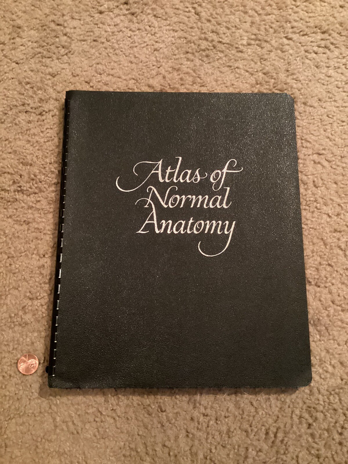Vtg ATLAS OF NORMAL ANATOMY 1956 Lederle Laboratories Paul Peck Color Images