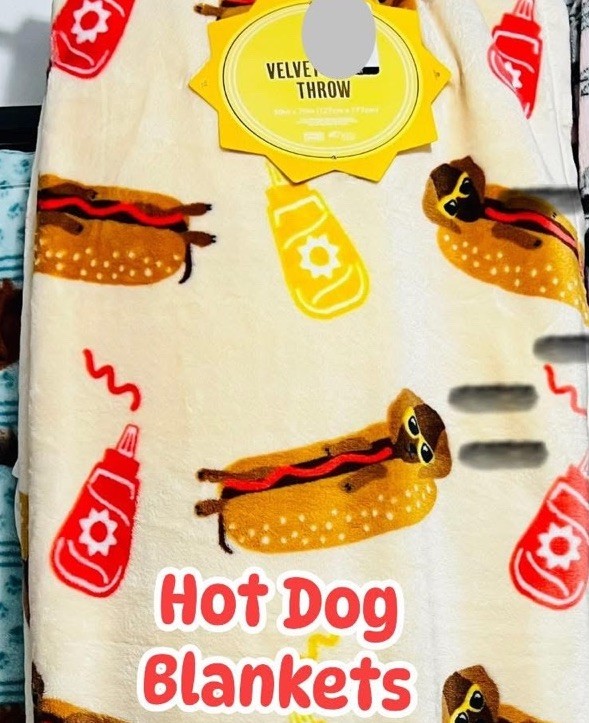 NEW Adorable HOT DOG Dachshund Oversized Velvet Soft Throw Blanket