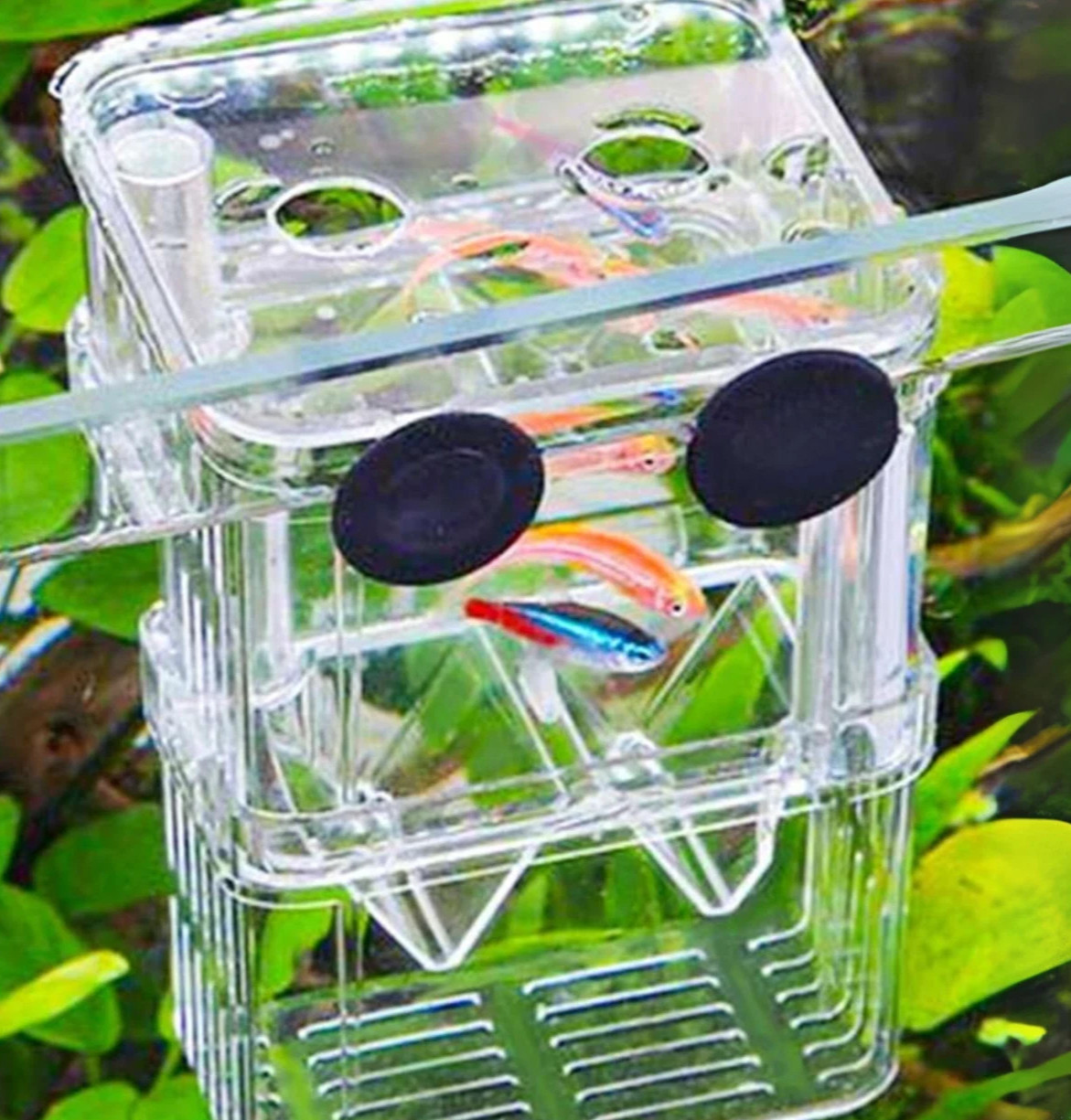Fish Breeding Box For Aquarium Fish Tnak Fish Breeder Hatchery Isolation Case