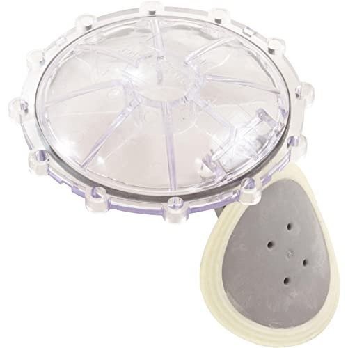 Pentair 270119Z Flap Replacement Kit, Check Valve