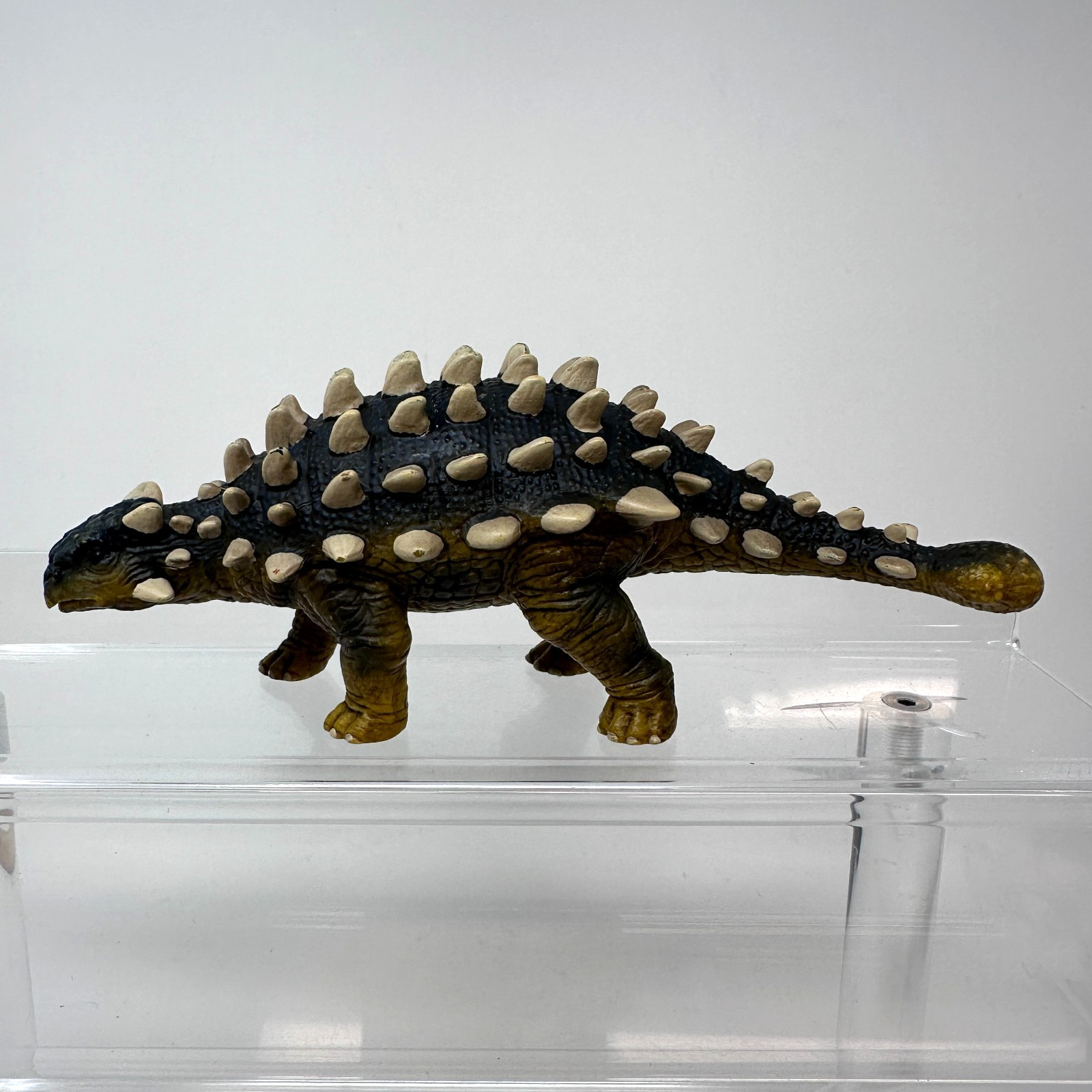 Schleich Ankylosaurus Figure Prehistoric Wildlife Animal Dinosaur Figurine 2011