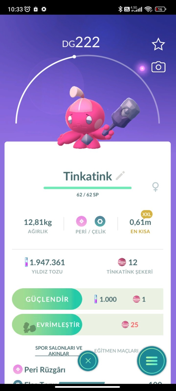 Pokemon XXL TRD Pokemon Go ✨