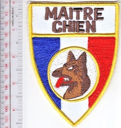 K-9 France French Army Dog Handler War Dog Insignia Armee de Terre NO TARIFF