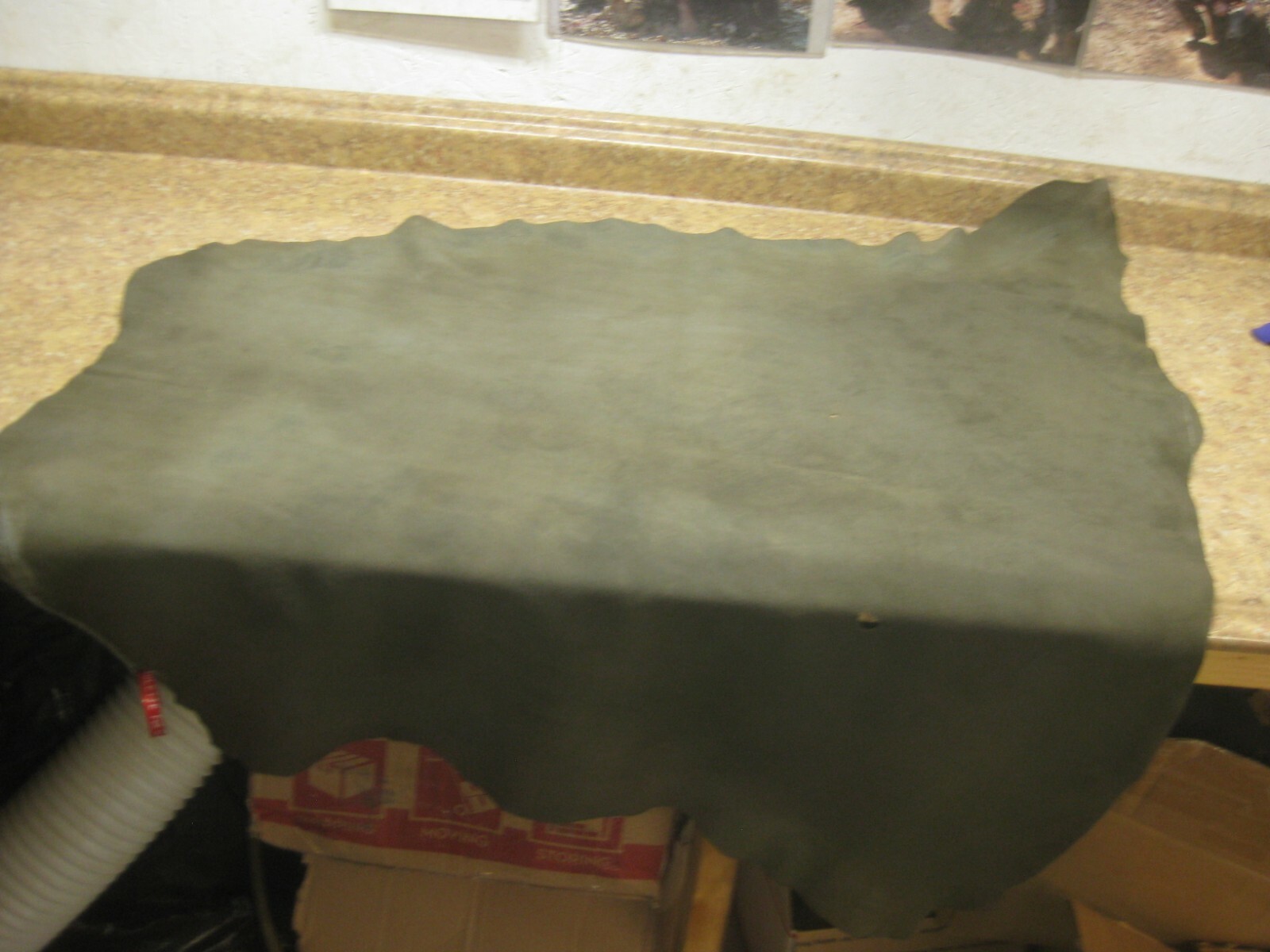 Tanned Buffed Deer Leather 0011208 Row 17 a