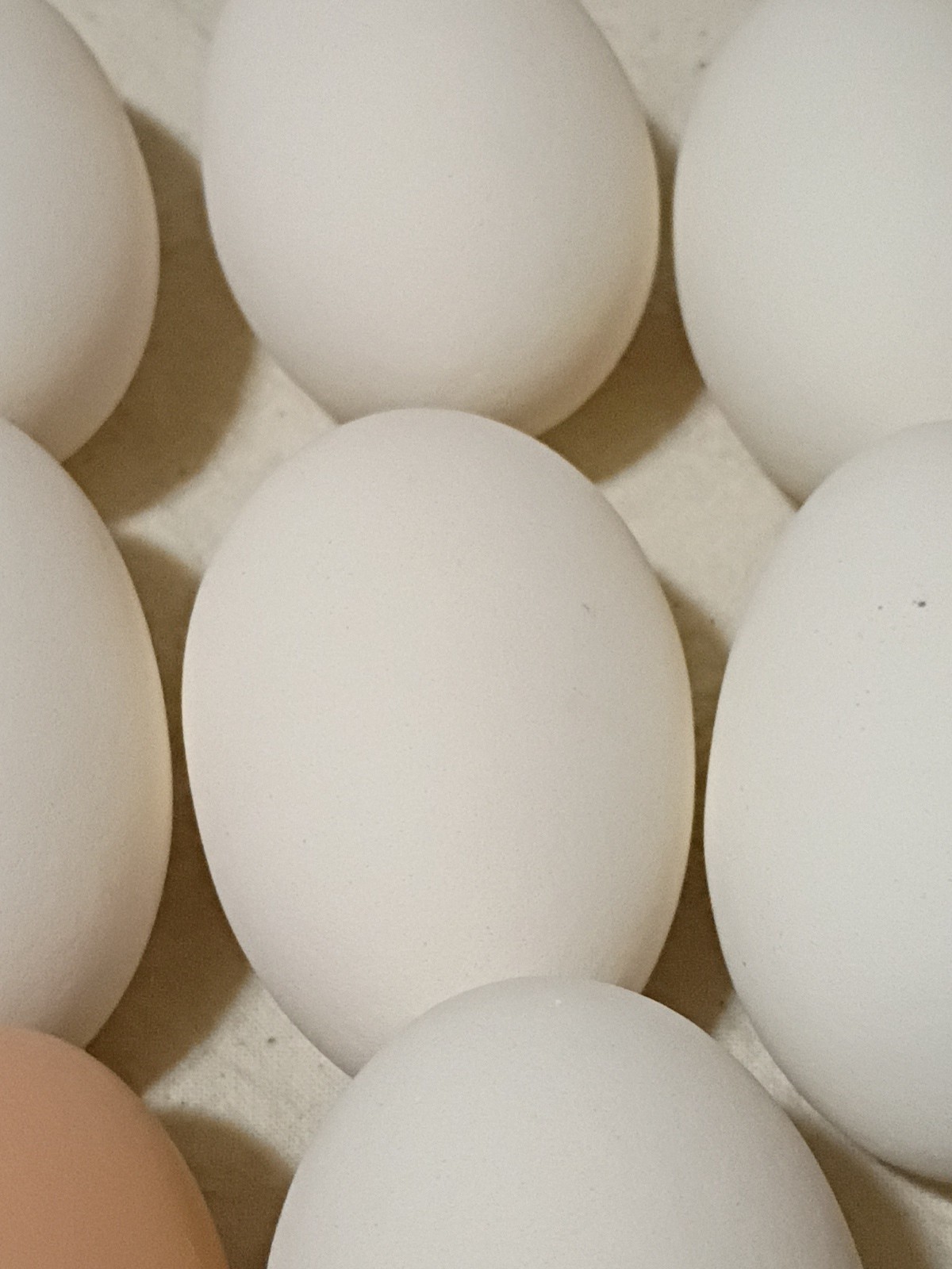 Set Of 10 Polymer Chicken Eggs B9