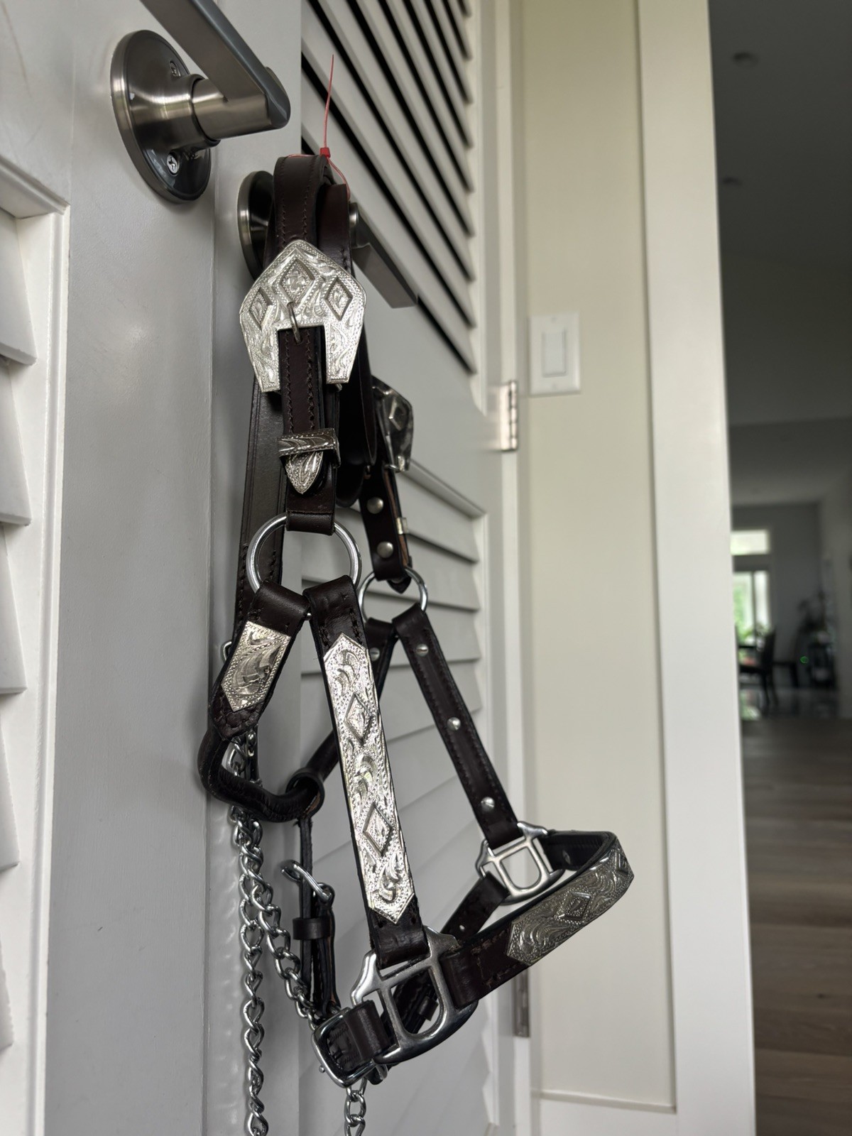 New Pony Silver Dark Oil Leather Show Halter & Lead