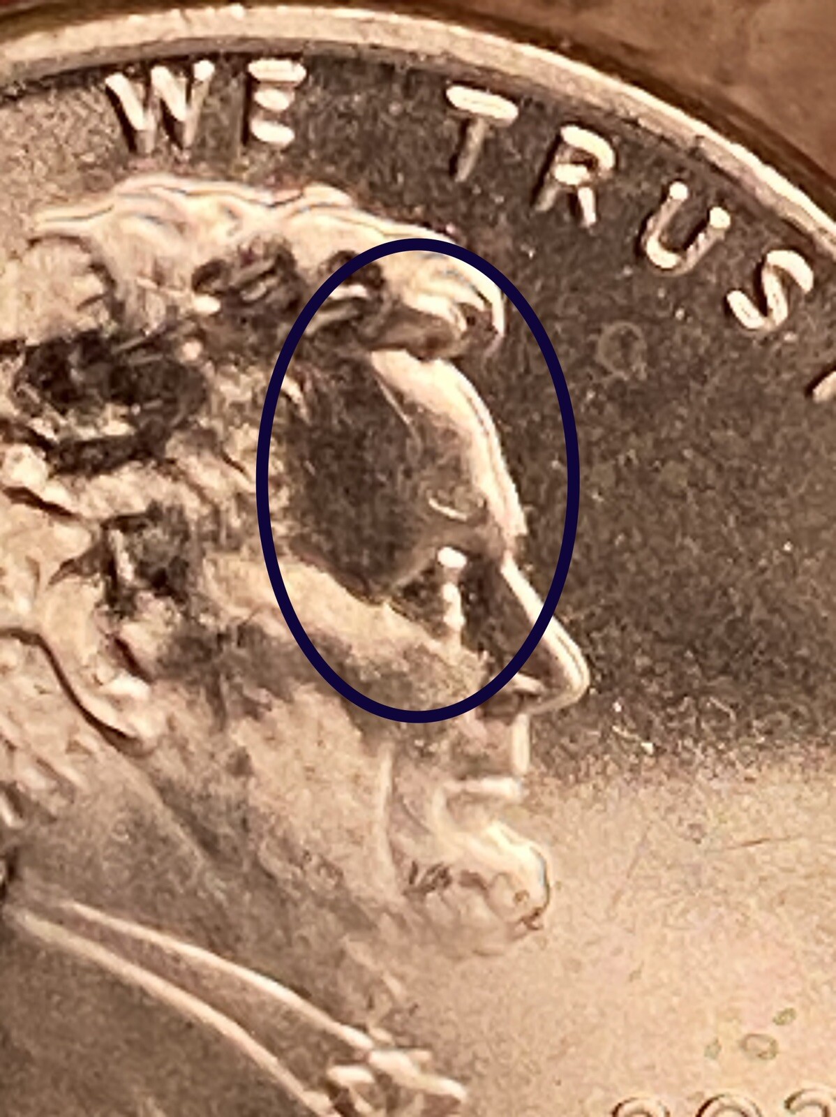 2020 P Lincoln’s Lose Hair Error from a BU Roll