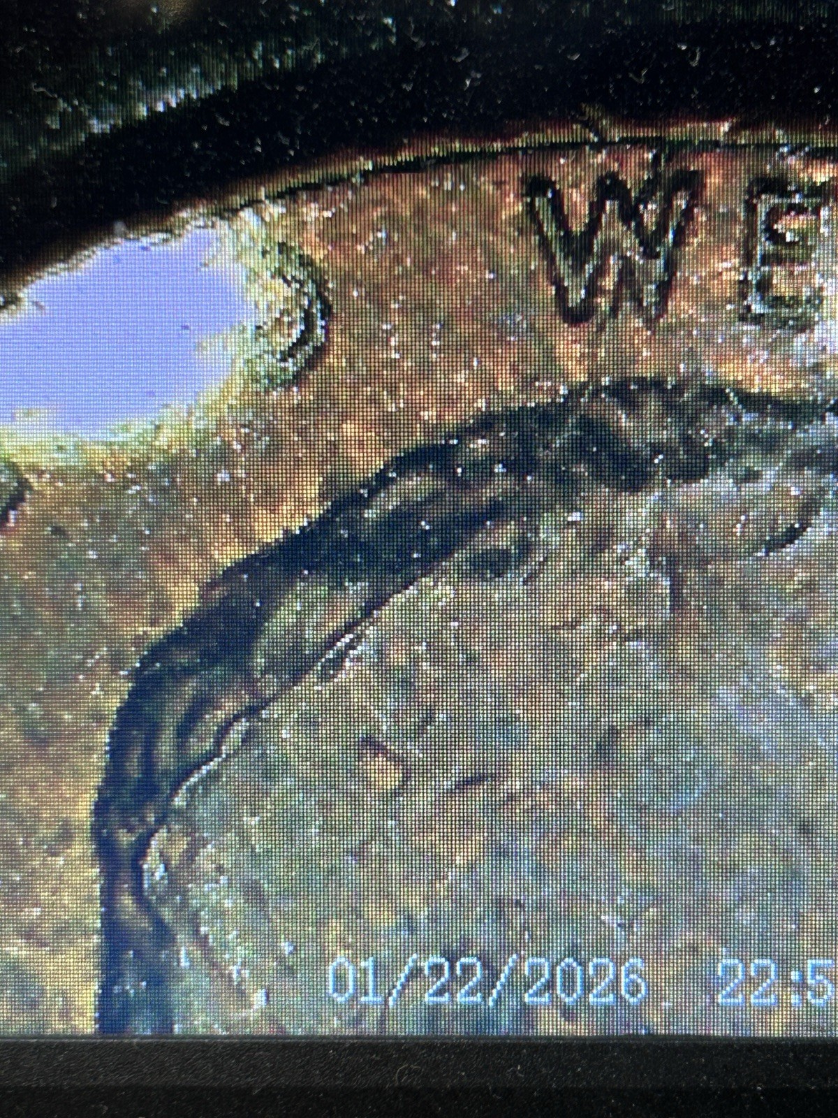 1983 P Lincoln Memorial Cent. Spiked Head Die Crack